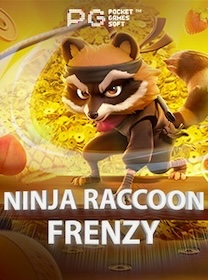 Ninja Raccoon Frenzy